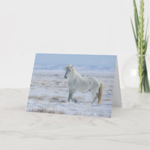 Vild Mustang Säsong Card Helgkort