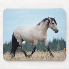 Vild Mustang Stallion Musmatta