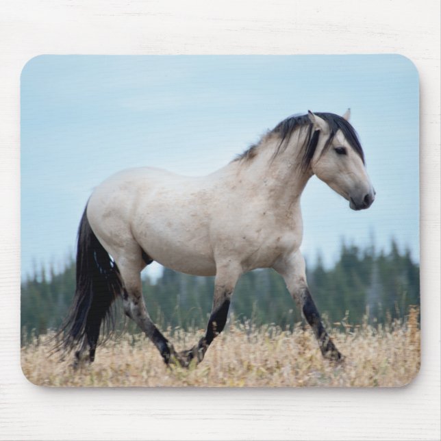Vild Mustang Stallion Musmatta (Framsidan)