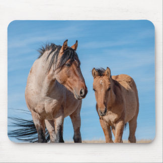 Vild Mustang Stallion och Vild Horse Foal Musmatta