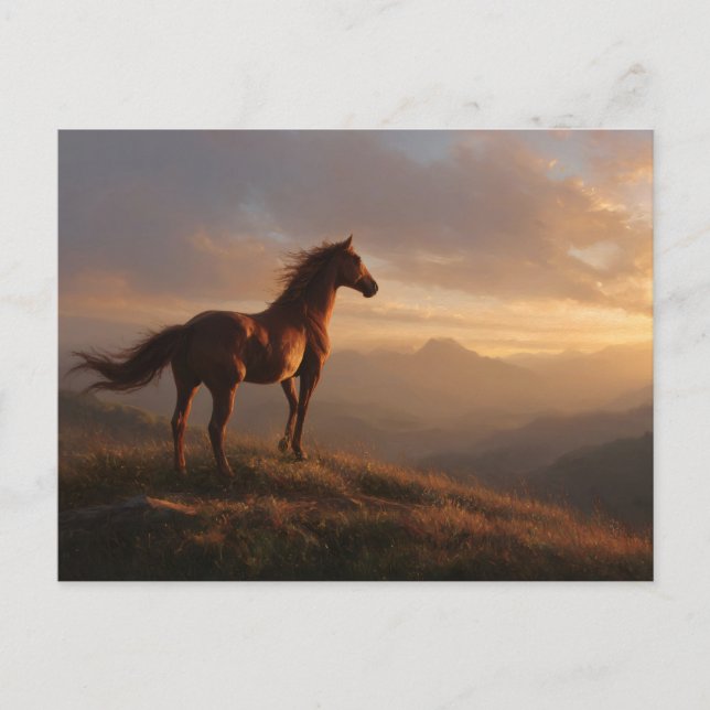 Vild Mustang tittar på solnedgången Vykort (Framsida)