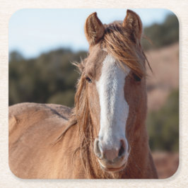 Vild Mustang Underlägg Papper Kvadrat