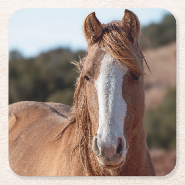 Vild Mustang Underlägg Papper Kvadrat (Framsidan)