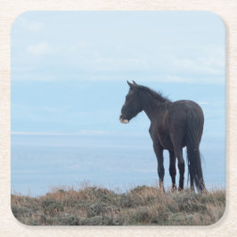 Vild Mustang Underlägg Papper Kvadrat