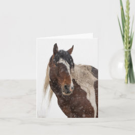 Vild mustangar i snö-kortet kort