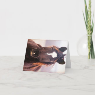 Vild Mustange Oklahoma Tack Kort