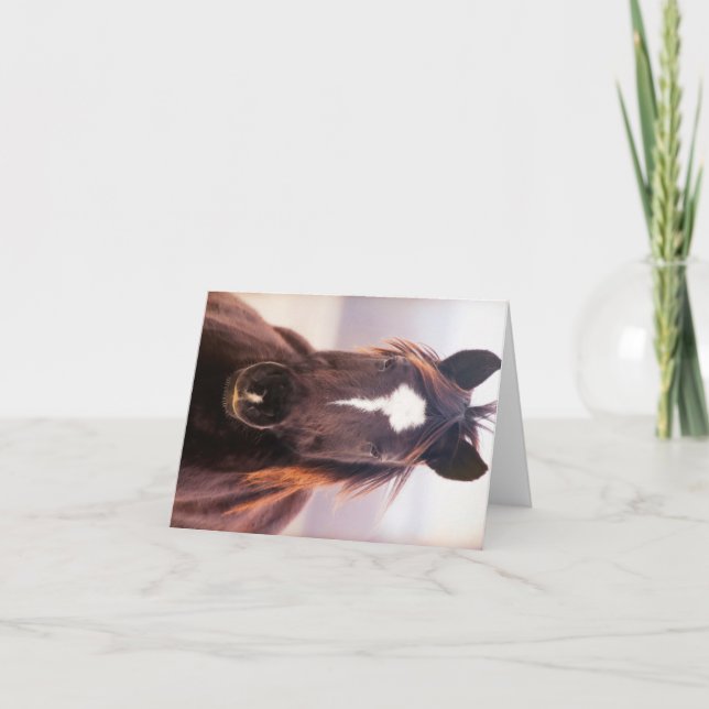 Vild Mustange Oklahoma Tack Kort (Framsida)