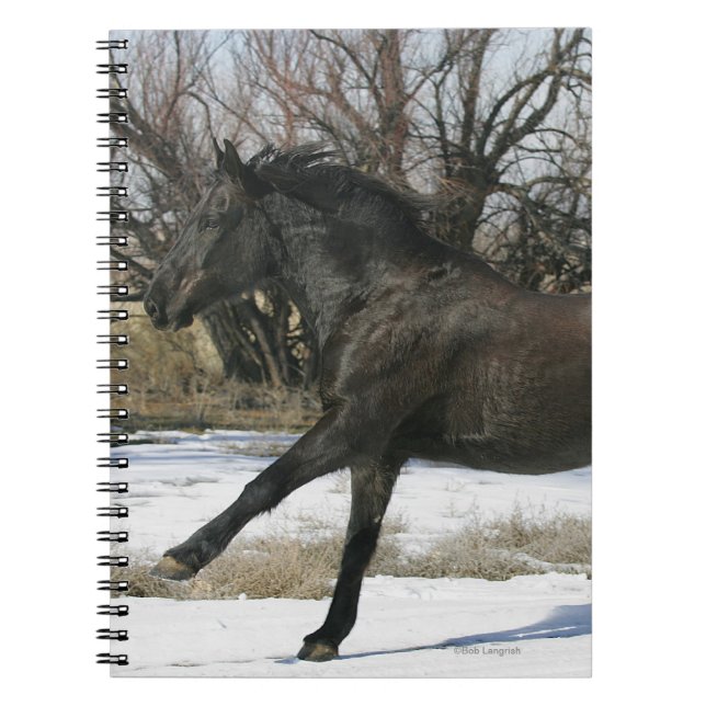 Vild mustanghäst i snön 2 anteckningsbok (Framsidan)