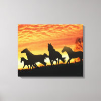 Vild Mustangs