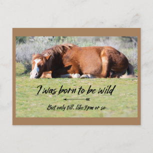 Vild Mustangs Forever Postcard Vykort