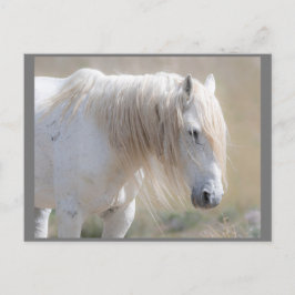 Vild Mustangs Forever Postcard Vykort