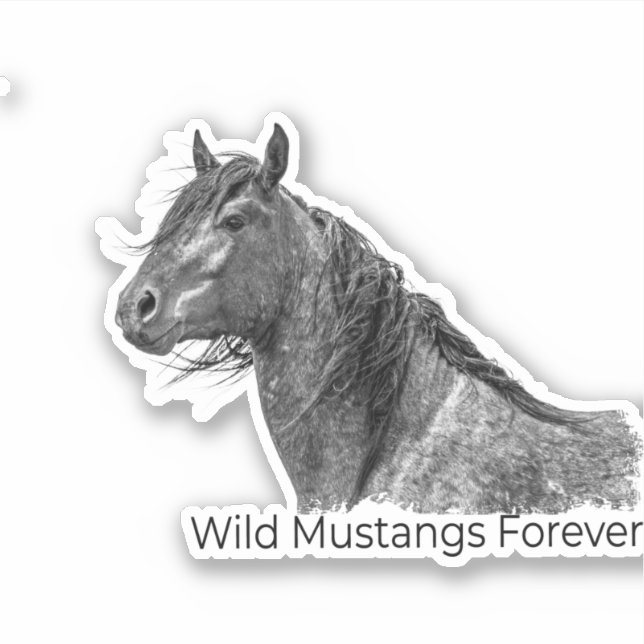 Vild Mustangs Forever Sticker Klistermärken (Framsida)