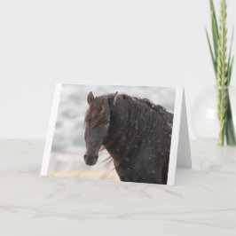 Vild Mustangs i Snö-kortet Kort