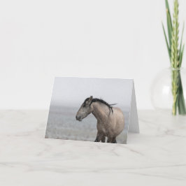Vild Mustangs i Snö-kortet Kort