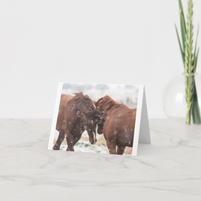 Vild Mustangs i Snö-kortet Kort (Framsida)