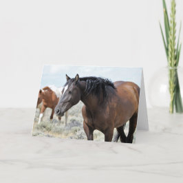 Vild Mustangs of the Väster Kort