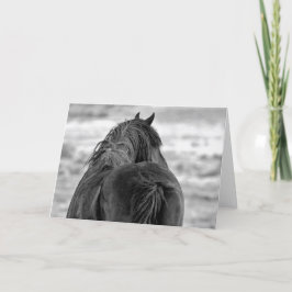 Vild Mustangs of the Väster Kort