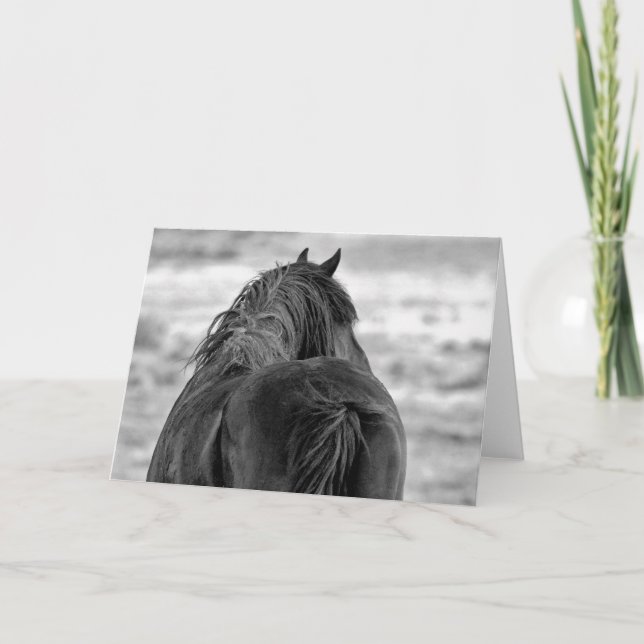 Vild Mustangs of the Väster Kort (Framsida)