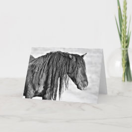 Vild Mustangs of the Väster Kort