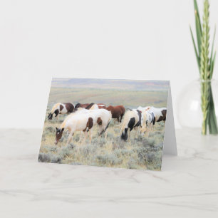 Vild Mustangs of the Väster Kort