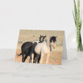 Vild Mustangs of the Väster Kort