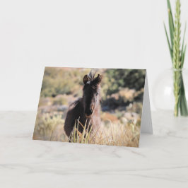 Vild Mustangs of the Väster Kort