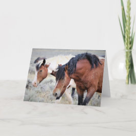 Vild Mustangs of the Väster Kort