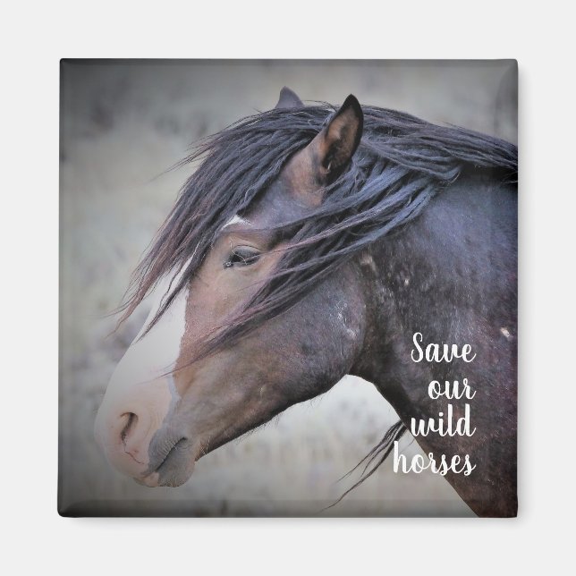 Vild Mustangs of the Väster Magnet (Framsidan)