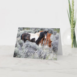 Vild Mustangs Photo Tackto You Card Tack Kort