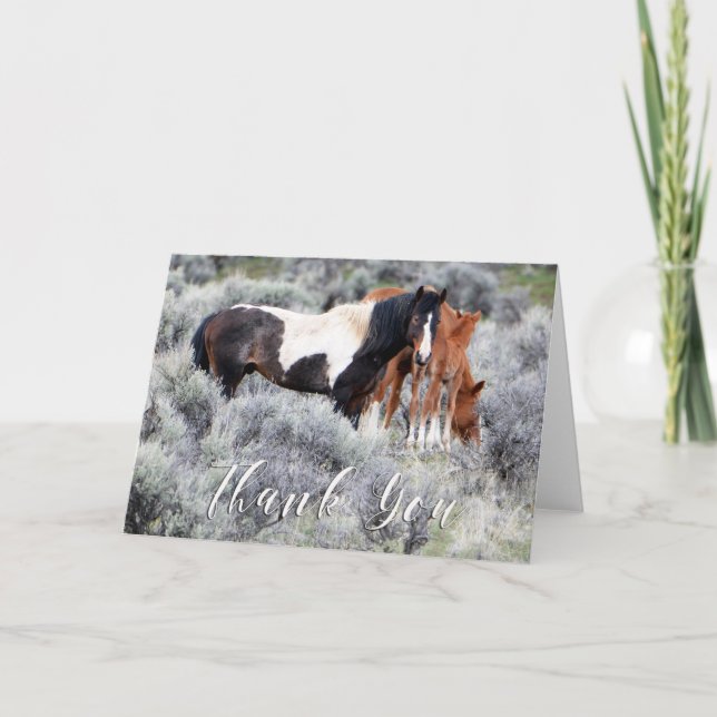 Vild Mustangs Photo Tackto You Card Tack Kort (Framsida)