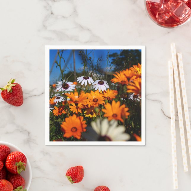 Vild Namaqualand-blommigten Pappersservett (Insitu)