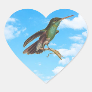 Vild Natur I kärlek Hummingbird Hjärtformat Klistermärke