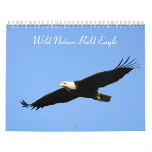 Vild Natur-Örn-foto Kalender