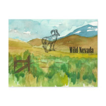 Vild Nevada Bighorn Sheep Desert liggande