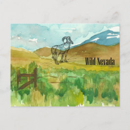 Vild Nevada Bighorn Sheep Desert liggande Vykort