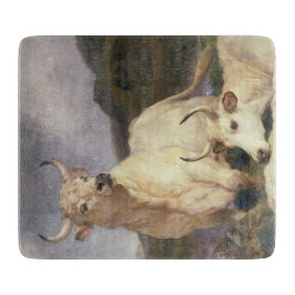 Vild Nötkreatur av Chillingham (Kor)