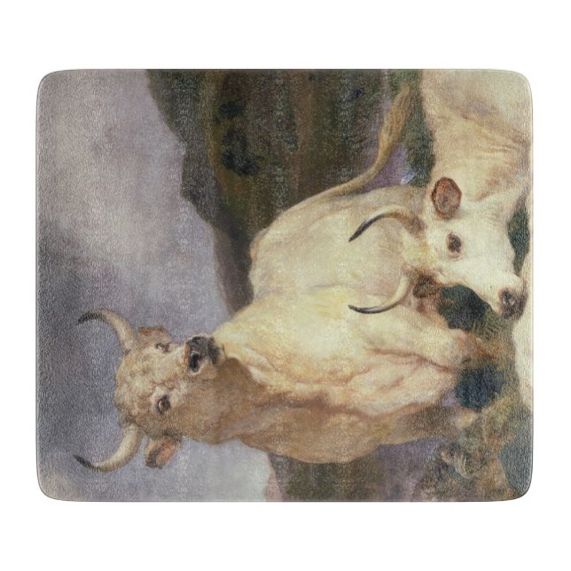 Vild Nötkreatur av Chillingham (Kor) (Framsidan)