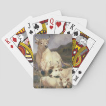 Vild Nötkreatur av Chillingham (Kor)