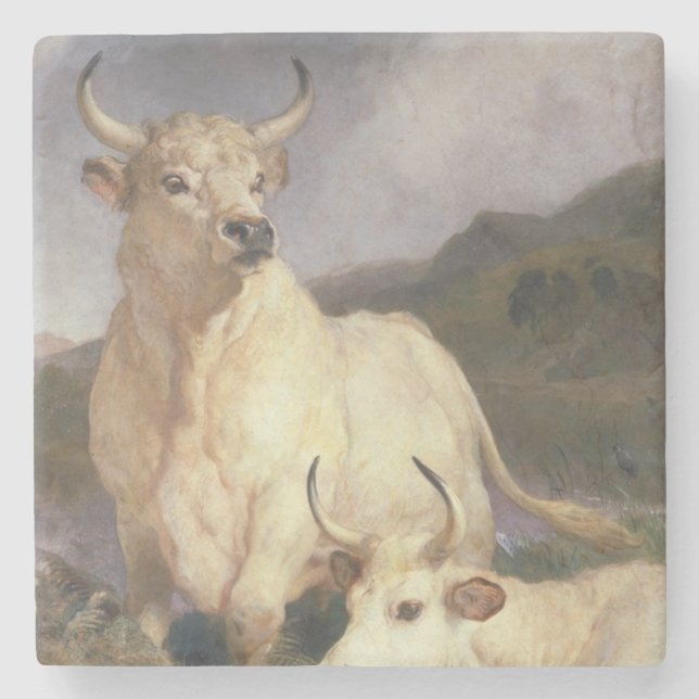 Vild Nötkreatur av Chillingham (Kor) Stenunderlägg (Framsidan)