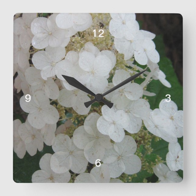 Vild Oak löv Hydrangea Wall Clock Fyrkantig Klocka (Framsida)