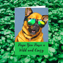 Vild och Crazy Saint patrick's day Hund Sunglass