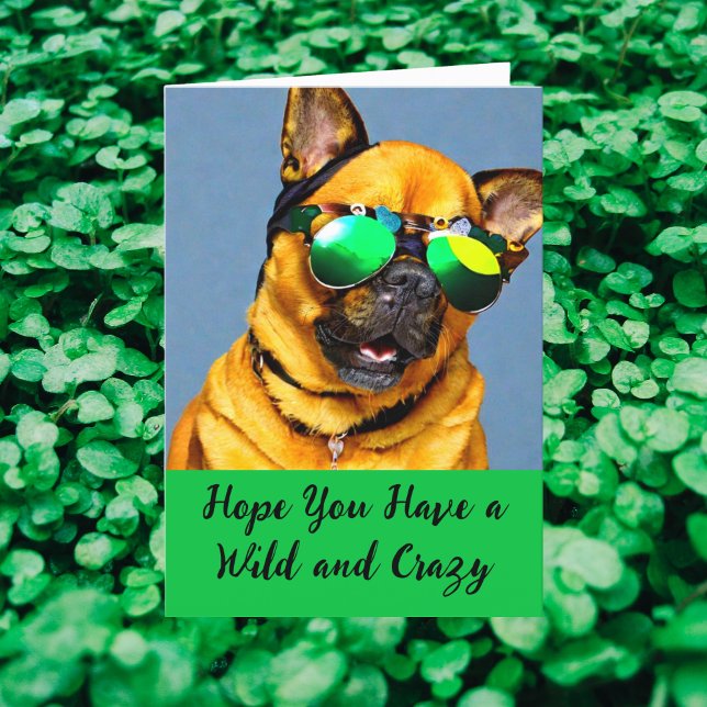 Vild och Crazy Saint patrick's day Hund Sunglass Helgkort (Skapare uppladdad)