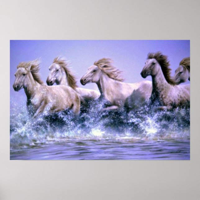 Vild och fri, Camargue Horses Poster (Framsidan)