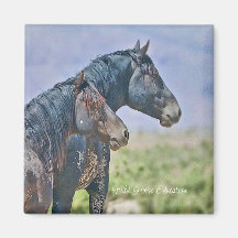 Vild och fritt, magnet