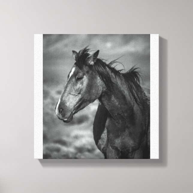 Vild och gratis canvastryck (Framsida)