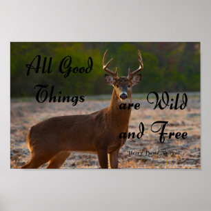 Vild och ledig, Thoreau Poster