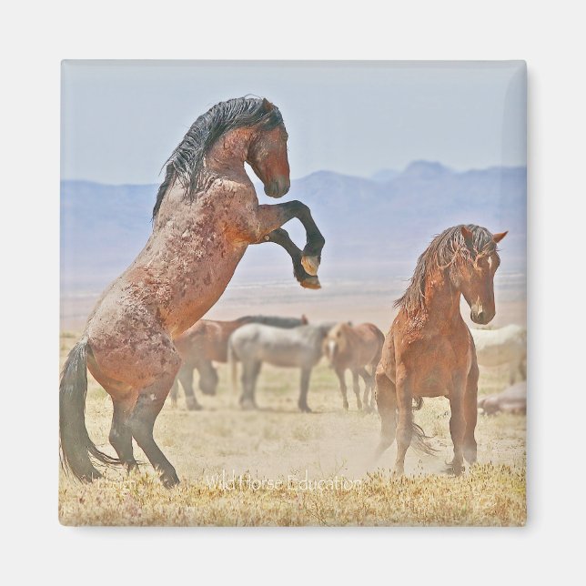 Vild och ledigt magnet (Framsidan)