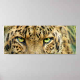 Vild Öga - Poster/skriv ut leopard Fine Art Poster