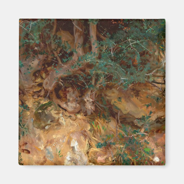 Vild Olive Träd Roots, 1908 av John Singer Sargent Magnet (Framsidan)