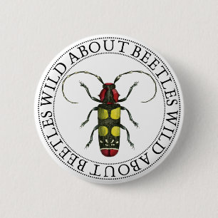 Vild om Beetles Knapp